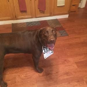 Meet your Posher, Brian